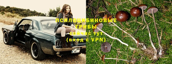 первитин Киренск